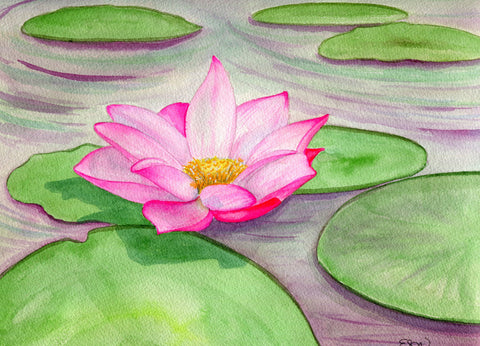 Pink Lotus