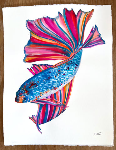 Rainbow Fish