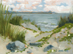 Morning Glory Morning