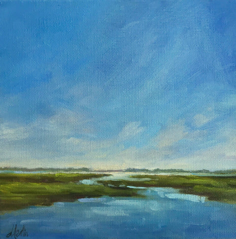 Mr. Blue Sky