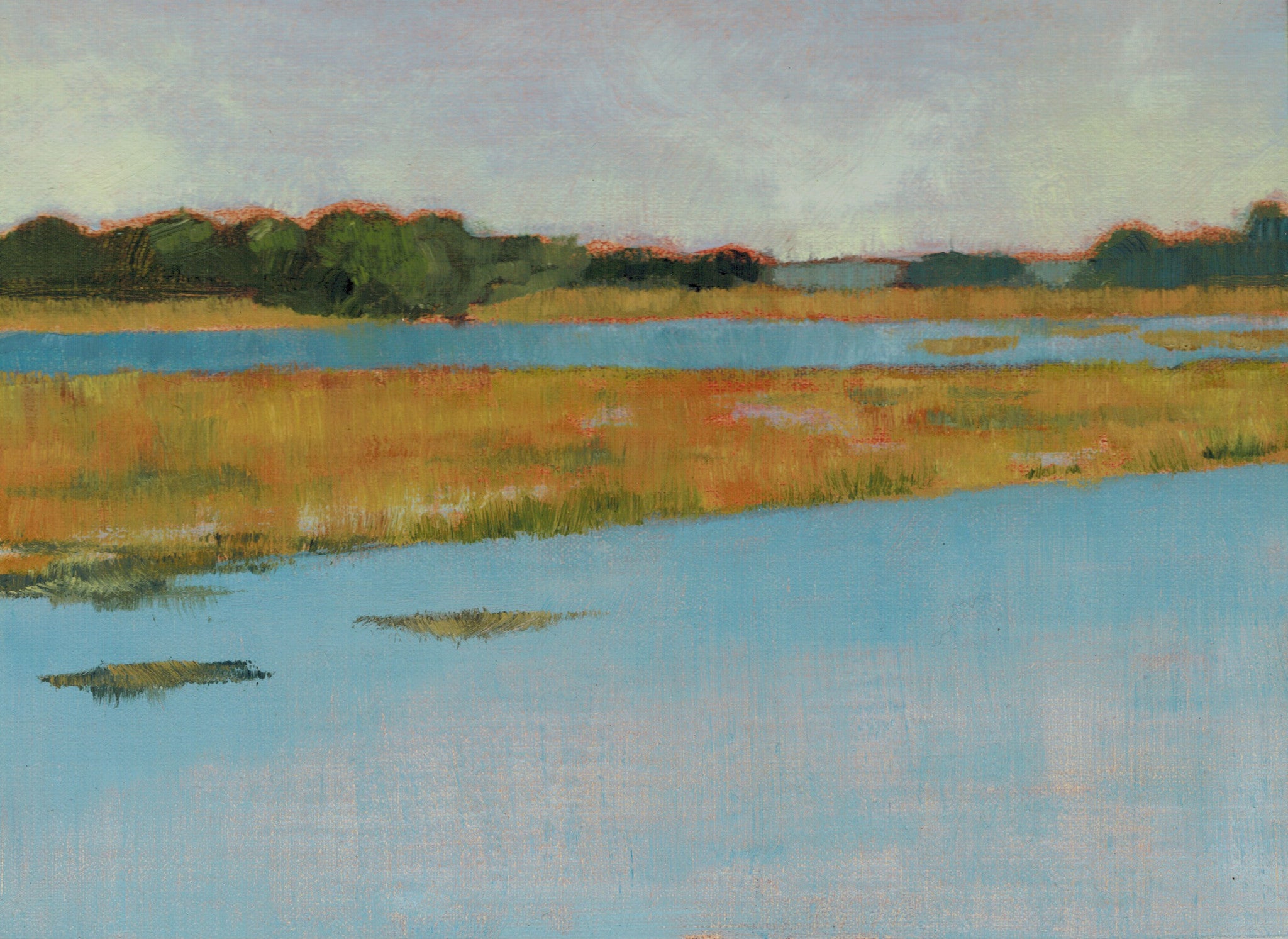 Overlooking the Cove