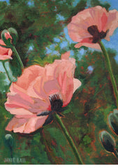 There's No Place Like Taos