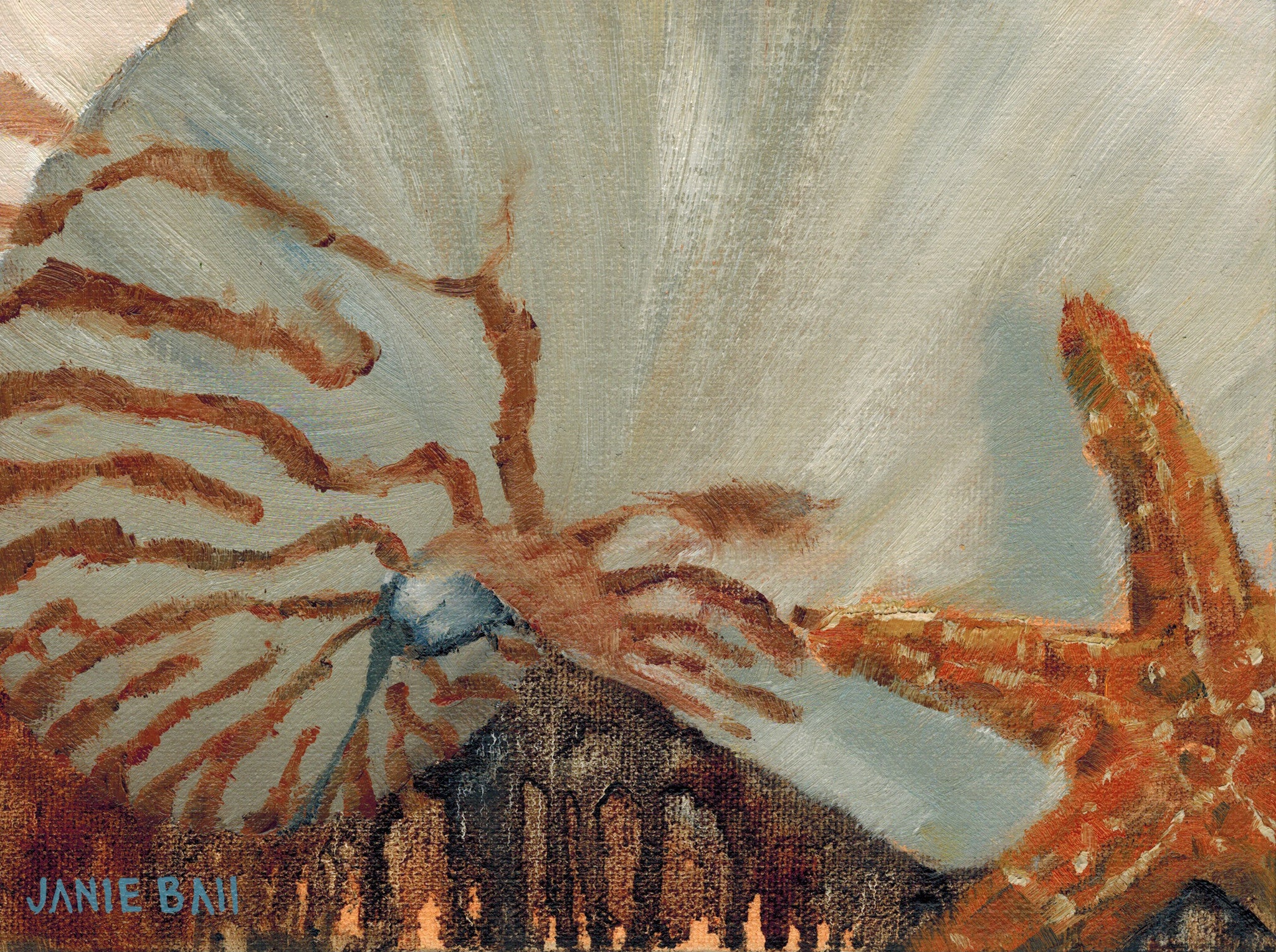 Shannon's Sea Shells