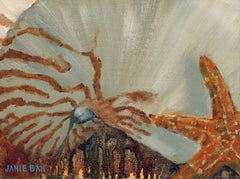 Shannon's Sea Shells