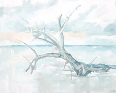 Sky Drift