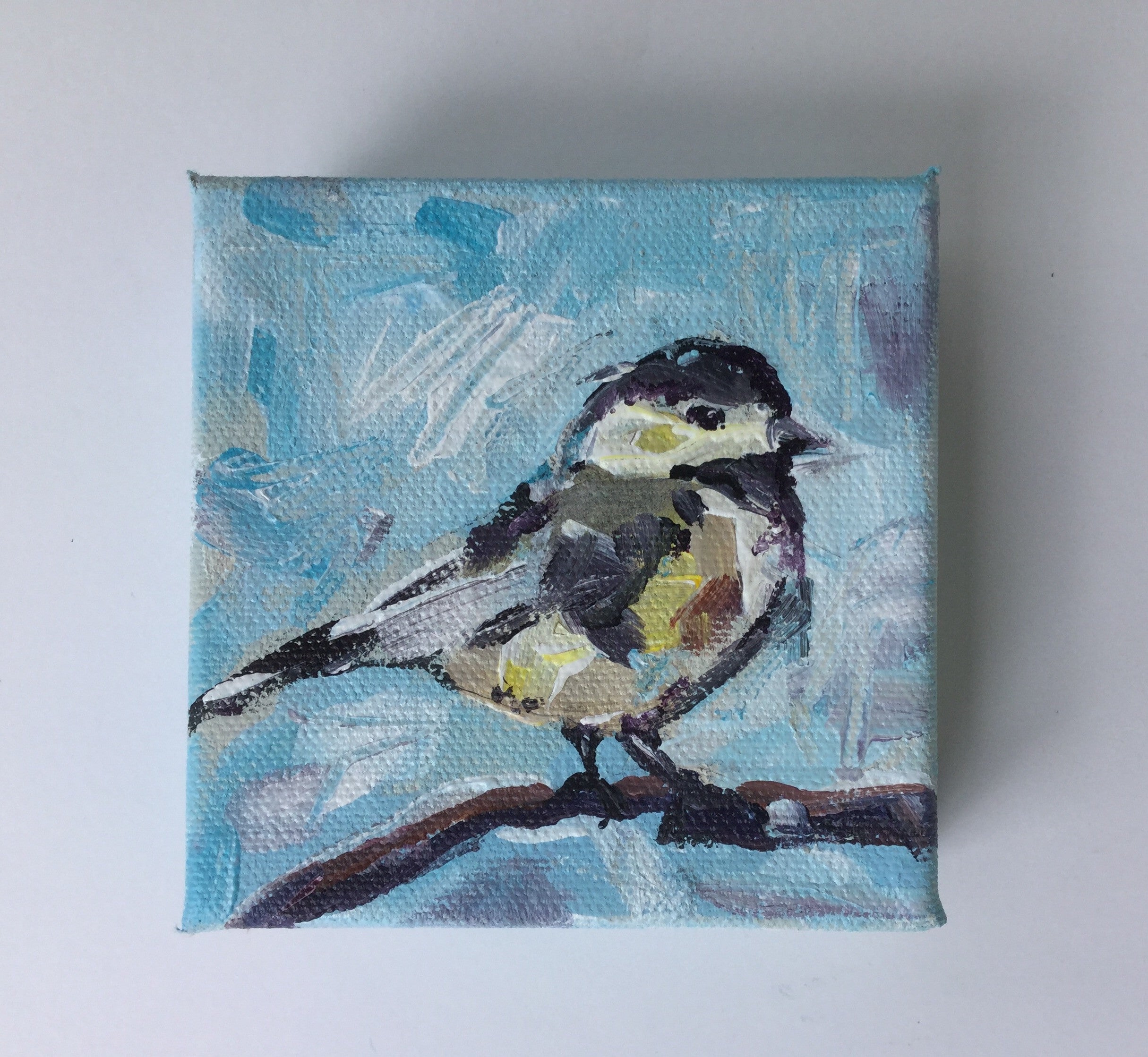 Chickadee in Blue