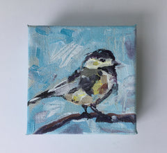 Chickadee in Blue