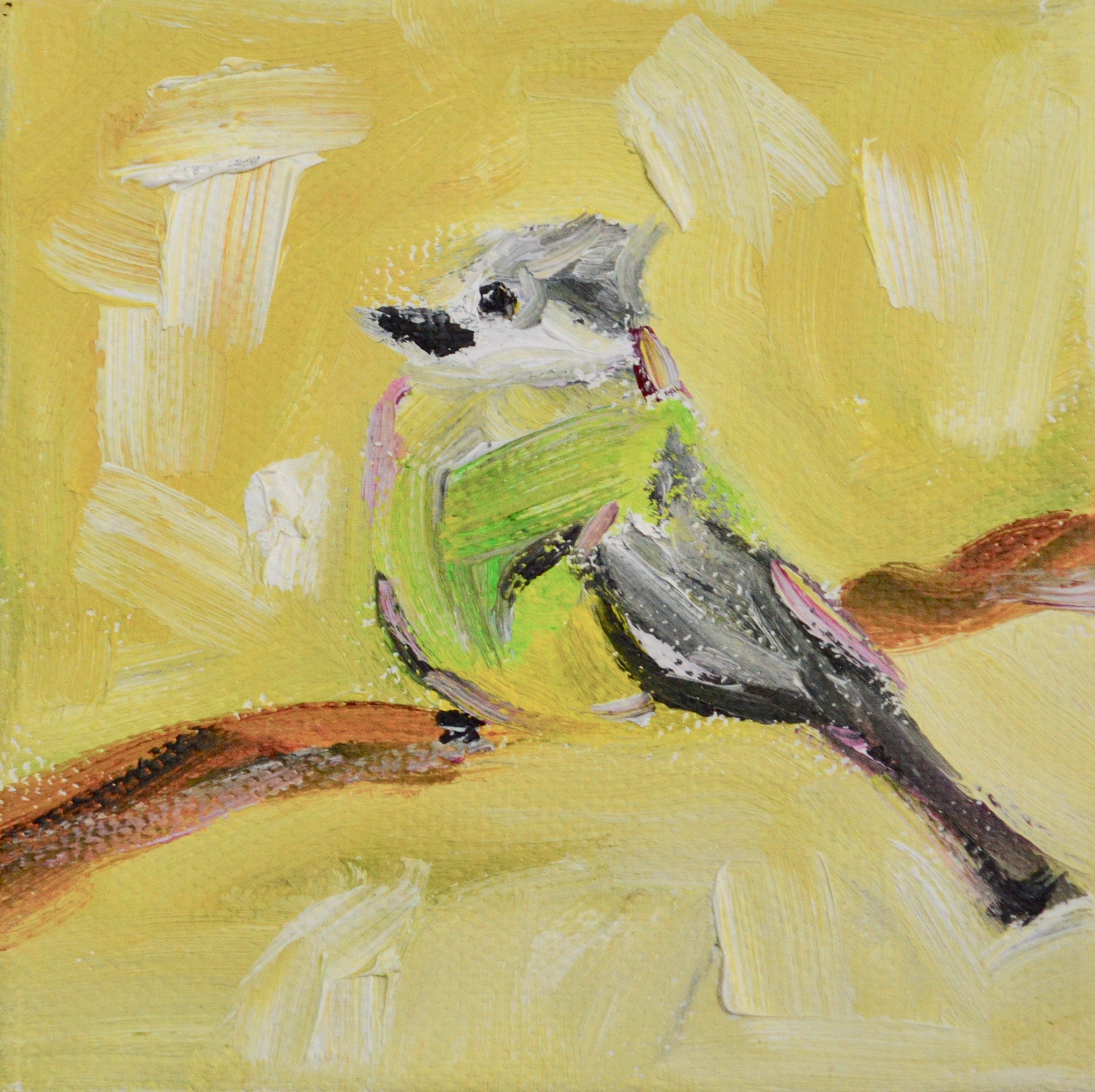 Southern Great Crested Flycatcher