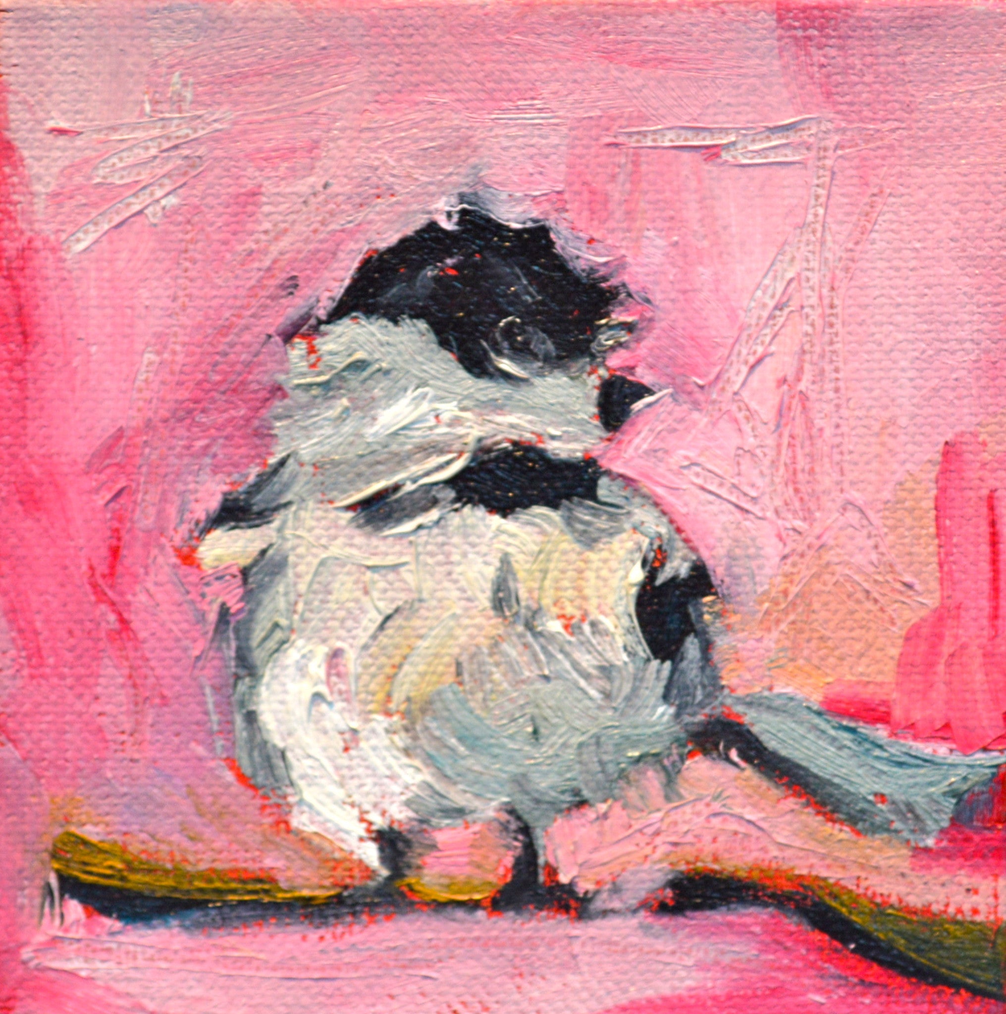 Pink Tennesee Chickadee