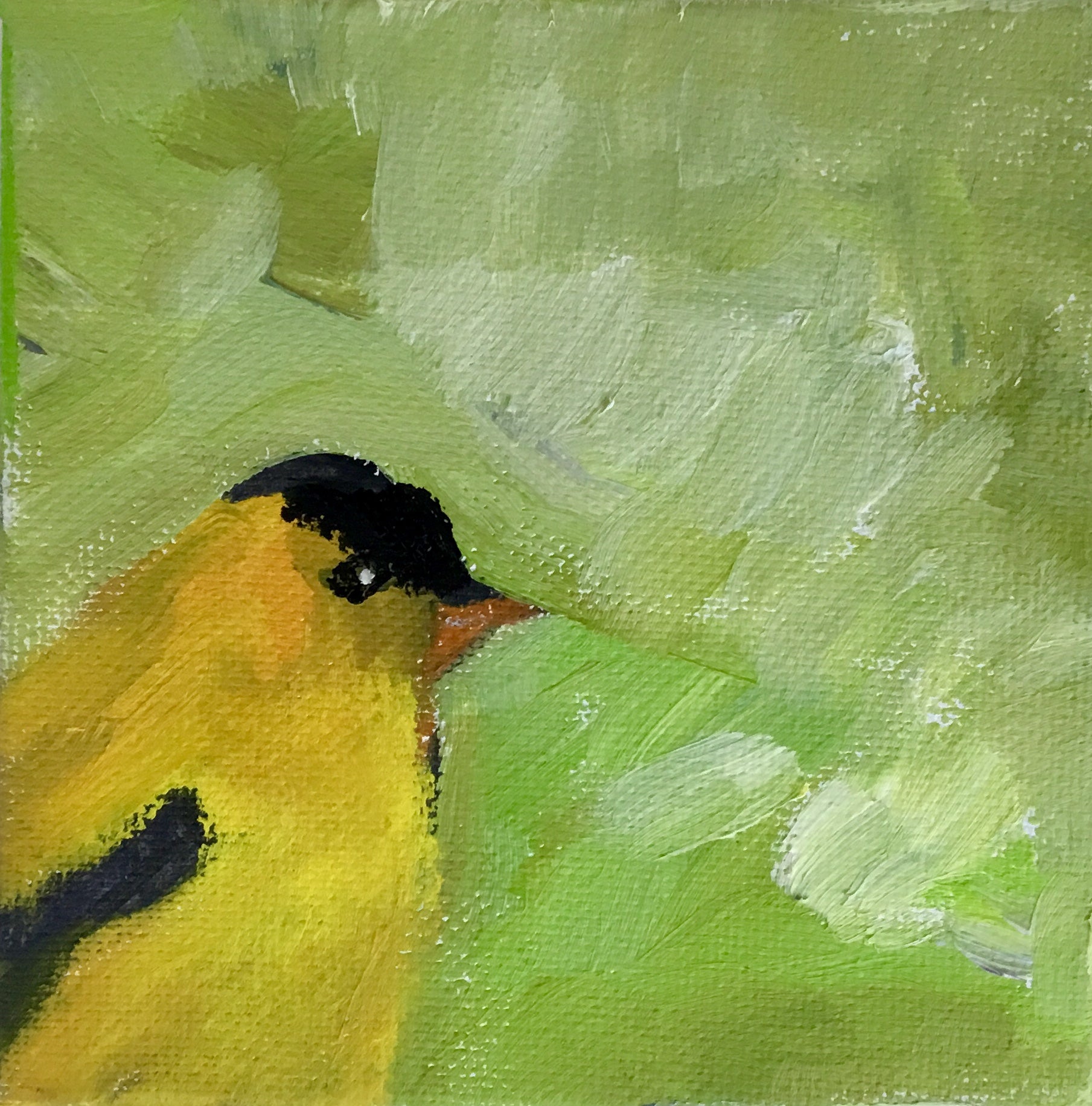 Goldfinch