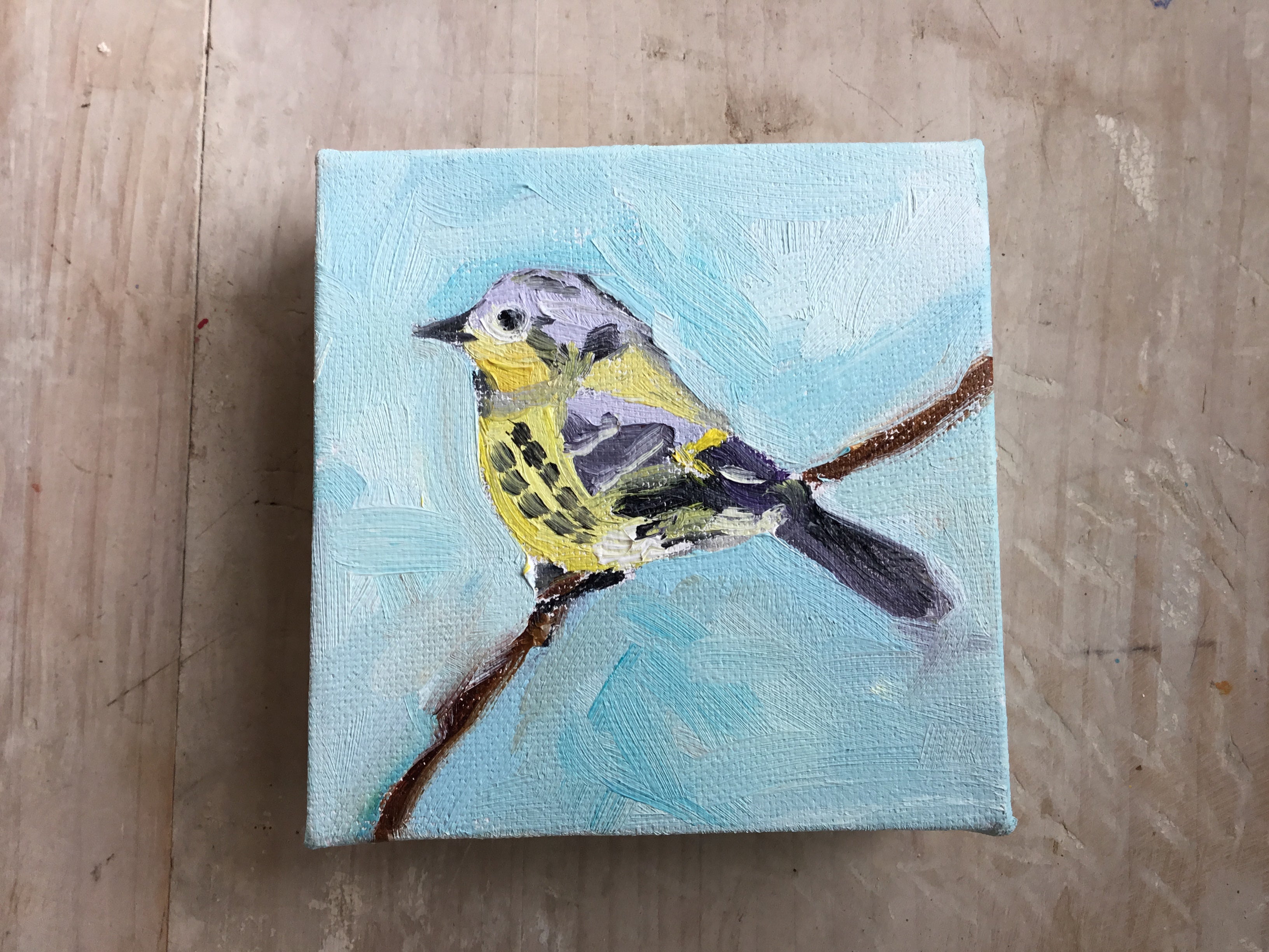 Magnolia Warbler