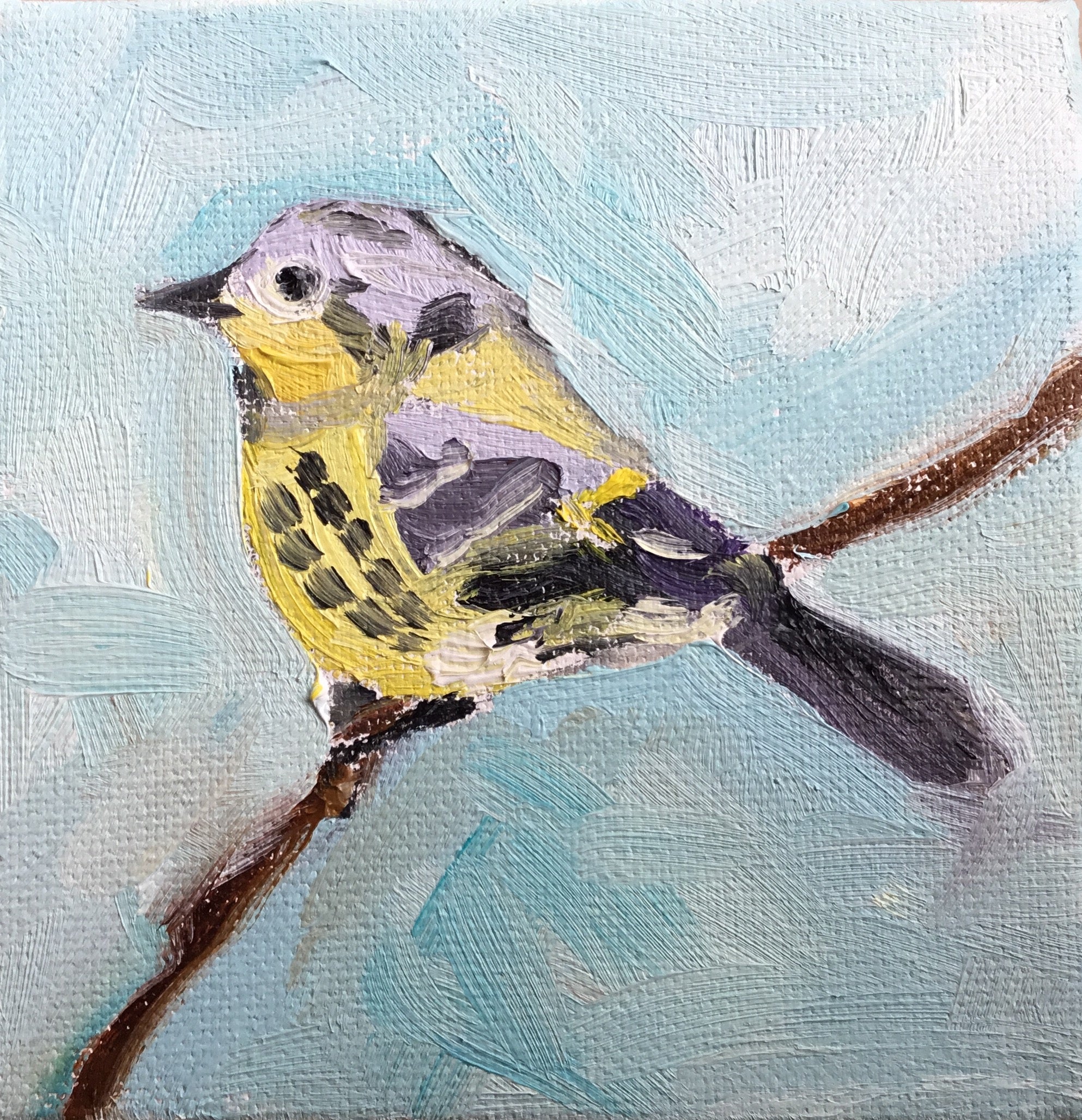 Magnolia Warbler