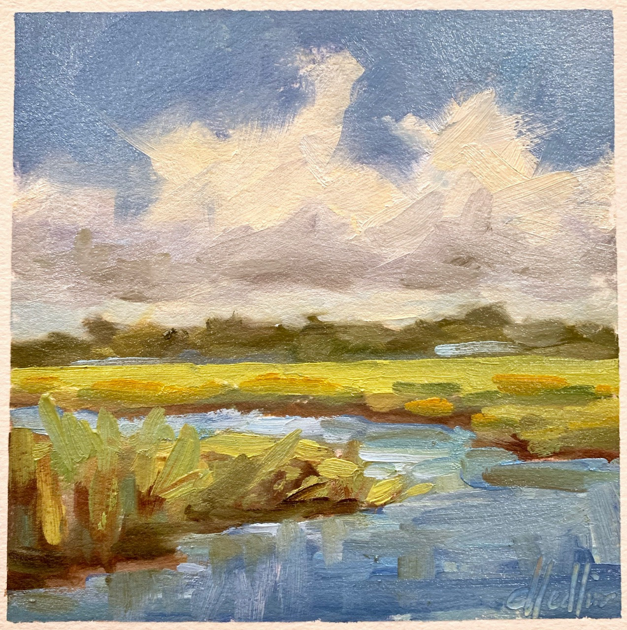 Spring Grasses