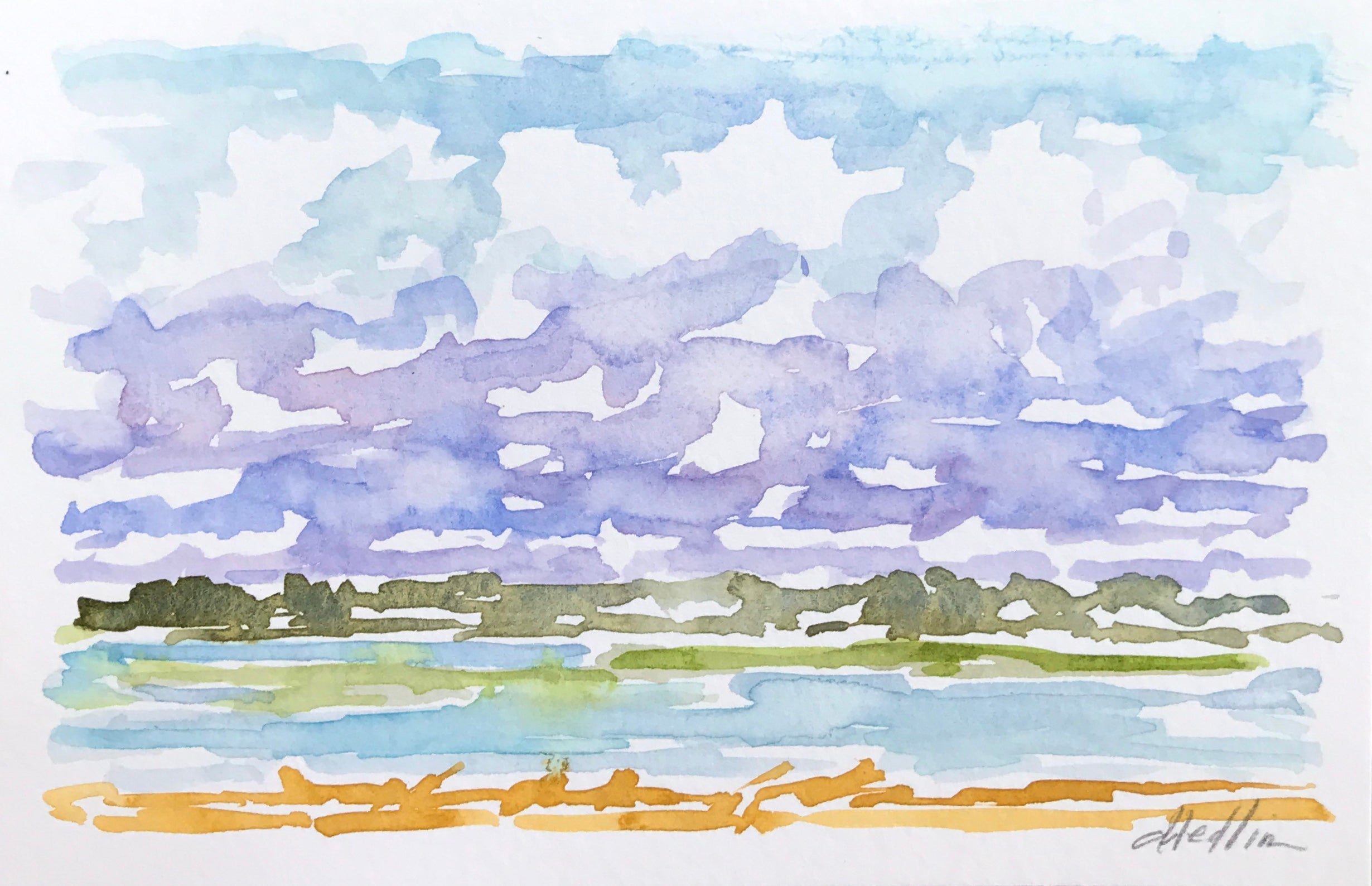 Tidal Marsh V